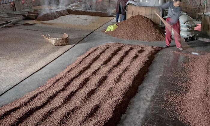 10.10想釀出好酒，經(jīng)驗手法很重要