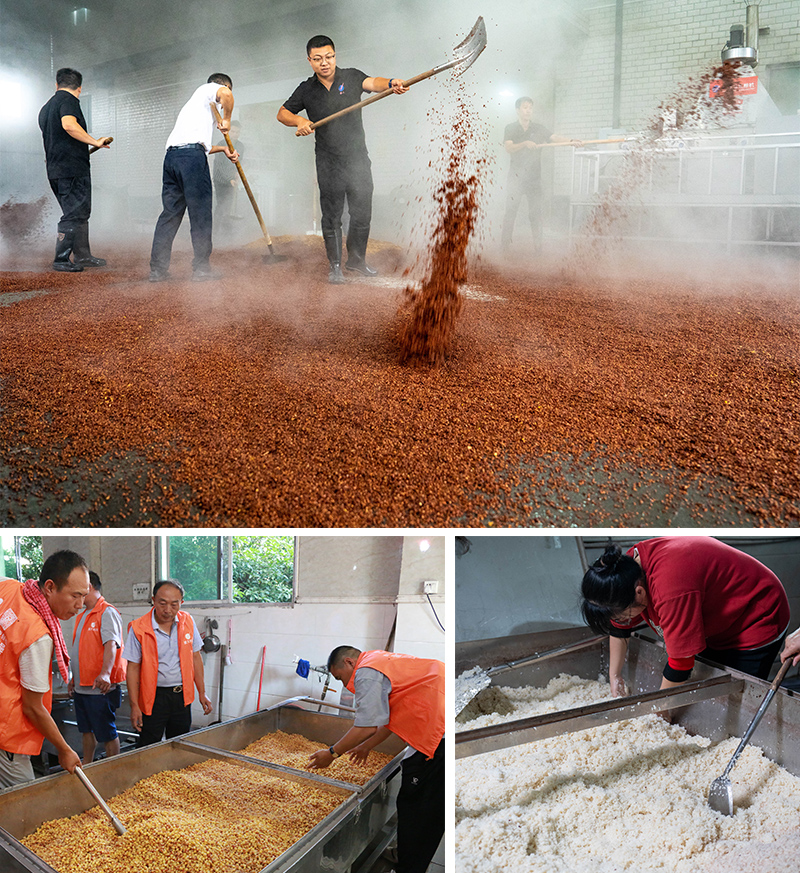 各種釀酒技術實操