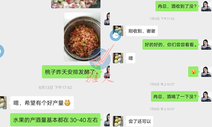 10.28雅大幫忙研發(fā)的黃桃酒，冉總品嘗后很滿意