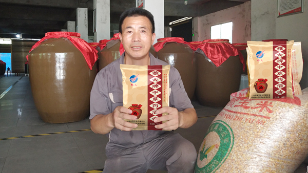 想釀造正宗的農(nóng)家土酒，卻找不到合適的酒曲怎么辦？