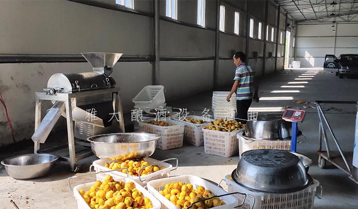 2020年，用釀酒機(jī)械釀造果酒的朋友將越來(lái)越多！1