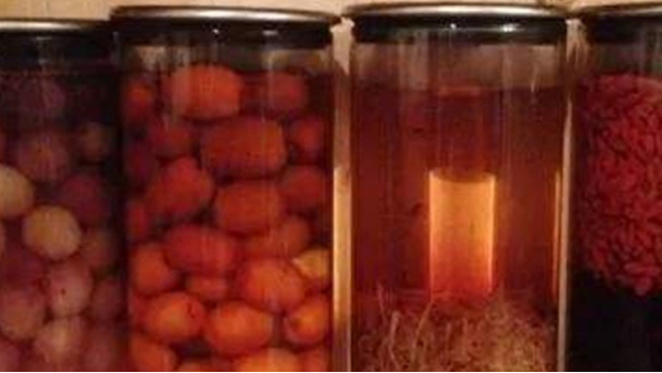 蒸餾釀酒設(shè)備：常見的6種野果，泡成酒連老酒鬼們都念念不忘！