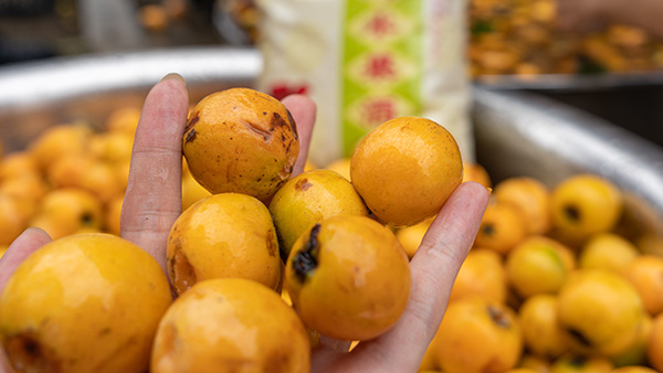 枇杷馬上上市了，用果酒釀酒設(shè)備釀枇杷酒技術(shù)趕緊學(xué)起來！