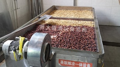 蓮子酒怎么做？11步教您用小型酒廠釀酒設(shè)備做出美味蓮子酒