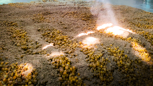 生態(tài)釀酒時(shí)代到來，談?wù)劙拙漆勗斓淖匀簧鷳B(tài)與微生態(tài)