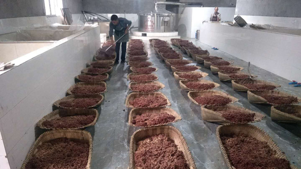 引進大型釀酒設(shè)備，用“釀”奏響脫貧致富的時代樂章