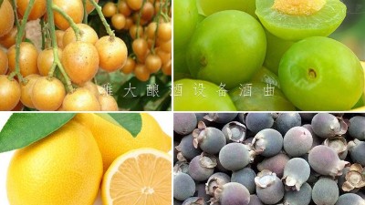 藏在果園里的果酒釀酒設(shè)備酒坊，生意卻依然火爆！