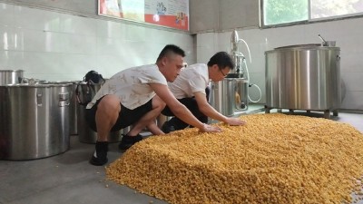 零基礎(chǔ)用做酒設(shè)備釀酒，必須要掌握糖化和酒化的6大要點！