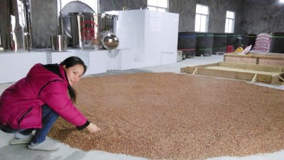 蒸餾釀酒設(shè)備釀酒的兩條路徑，決定了白酒的口感和出酒率！