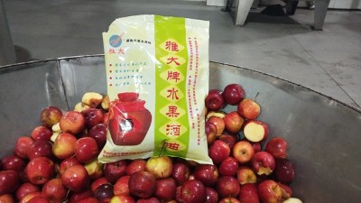 龍豐果酒怎么釀？雅大小型酒廠釀酒設(shè)備現(xiàn)場教您釀！