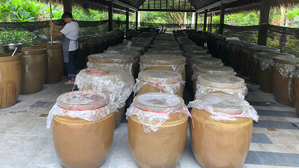 春季用烤酒設(shè)備做酒，不做好發(fā)酵車間的衛(wèi)生后果很嚴重！