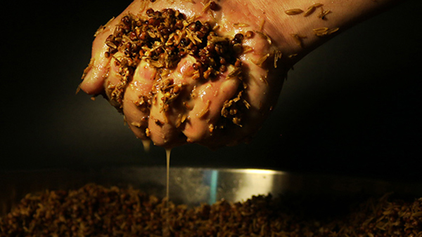 用白酒釀酒設備做固態(tài)酒，小麥和高粱混合發(fā)酵可行嗎？口感怎么樣？