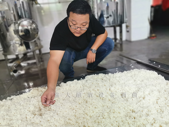 12.22米酒1對1實(shí)操課測量溫度5