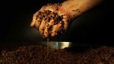 傳統(tǒng)老酒坊得不到傳承怎么辦？試試這款小型酒廠釀酒設備